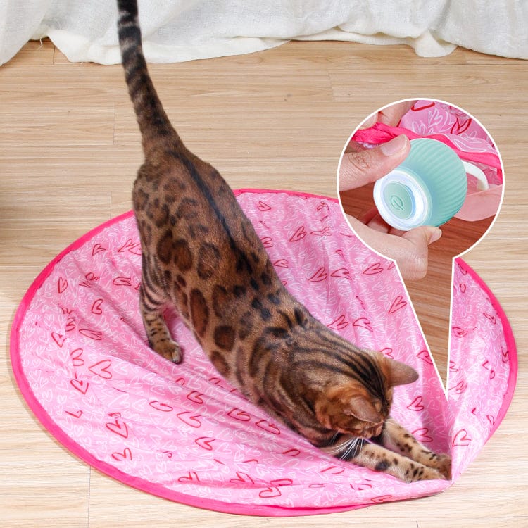 2 in 1 Simulated Interactive hunting cat toy – 🔥Hot Sale🔥