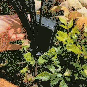 Wind Dancing Solar Firefly Lights | Buy 1 Get 1 Free Garden Decor 2025