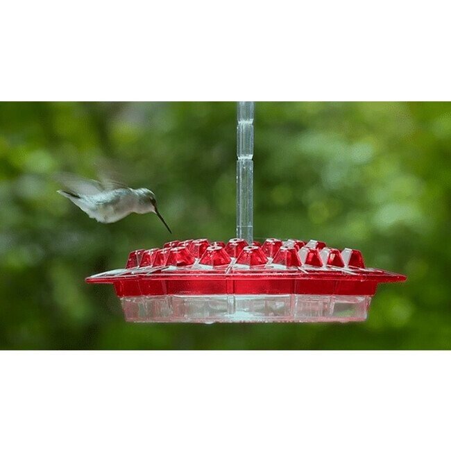 Mary's Hummingbird Feeder With Perch And Built-In Ant Moat