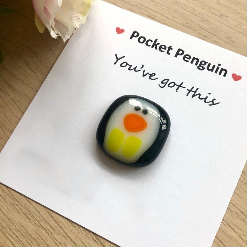 A Little Pocket Penguin Hug