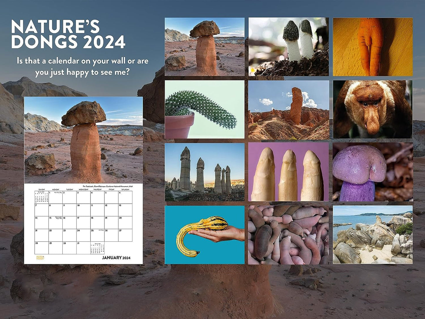 FUNNIEST CALENDAR OF THE CENTURY | 2024 Nature Funny Adult Shaped Pics Calendar