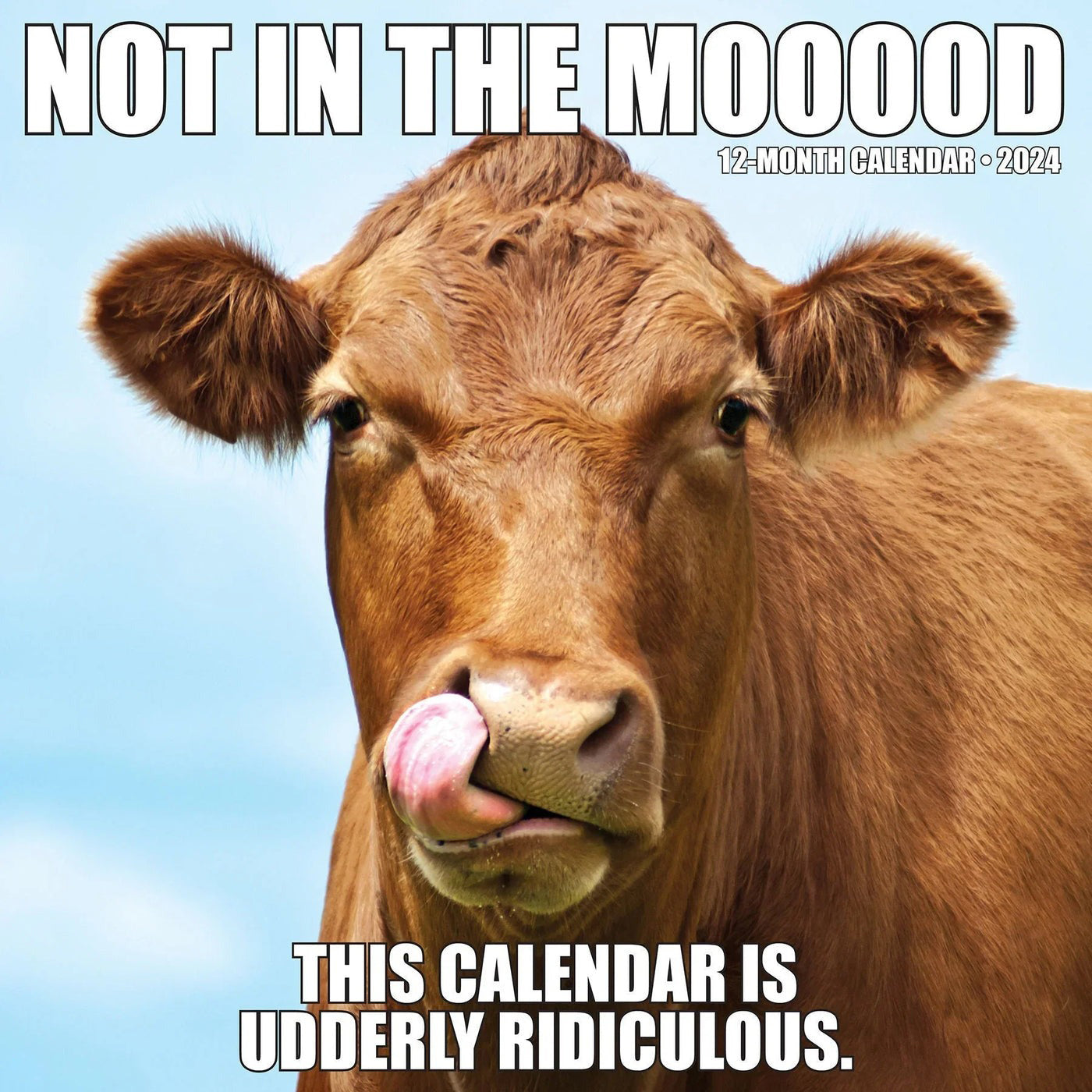 😂2024 Funny Animal calendar | Inspired farm humor