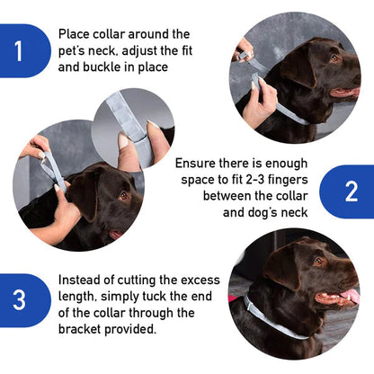 FurLife™ Flea and Tick collar