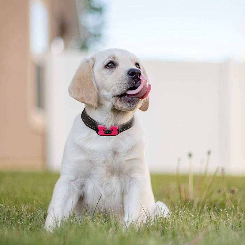 Omayli PuppyLove – Anti-Bark Collar