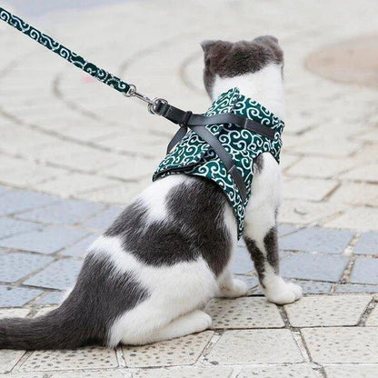 🔥Cat Dogs Vest Harness and Leash Anti-break Away Chest Strap Cat Clothes👍