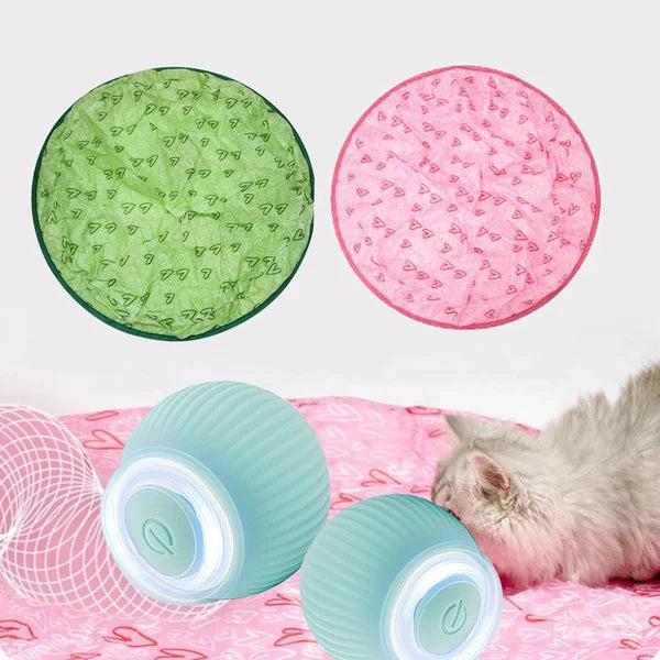 2 in 1 Simulated Interactive hunting cat toy – 🔥Hot Sale🔥