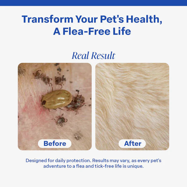 FurLife™ Flea and Tick collar