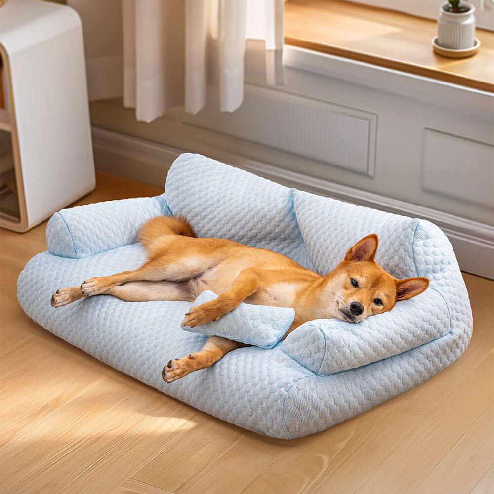 Pet Sofa Bed