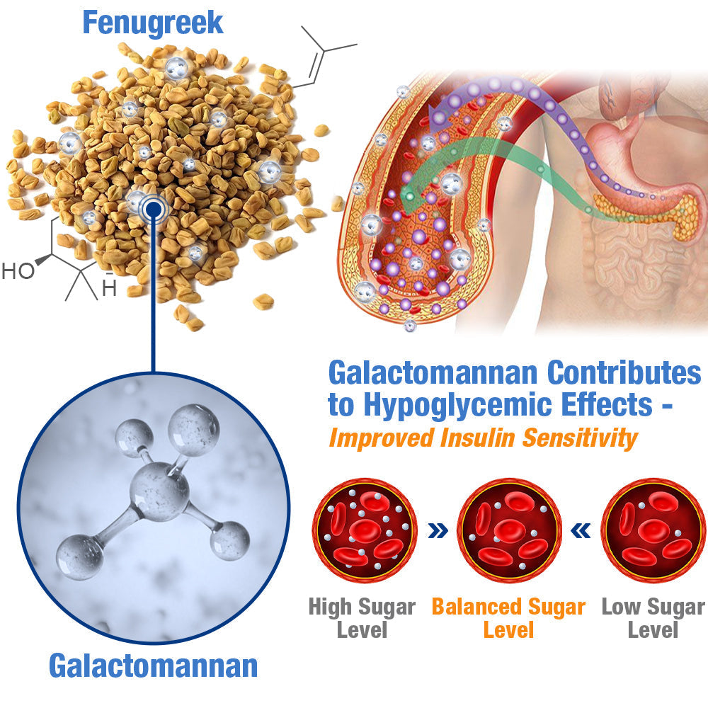 GFOUK™️ GlucoGuard Health Balance Patch