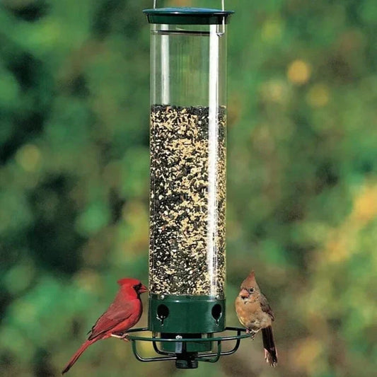 Squirrel Proof Bird Feeder