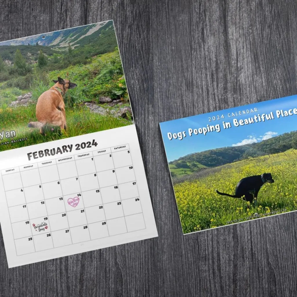 Funniest calendar of the century|\Artistic expression\" of furry friends"