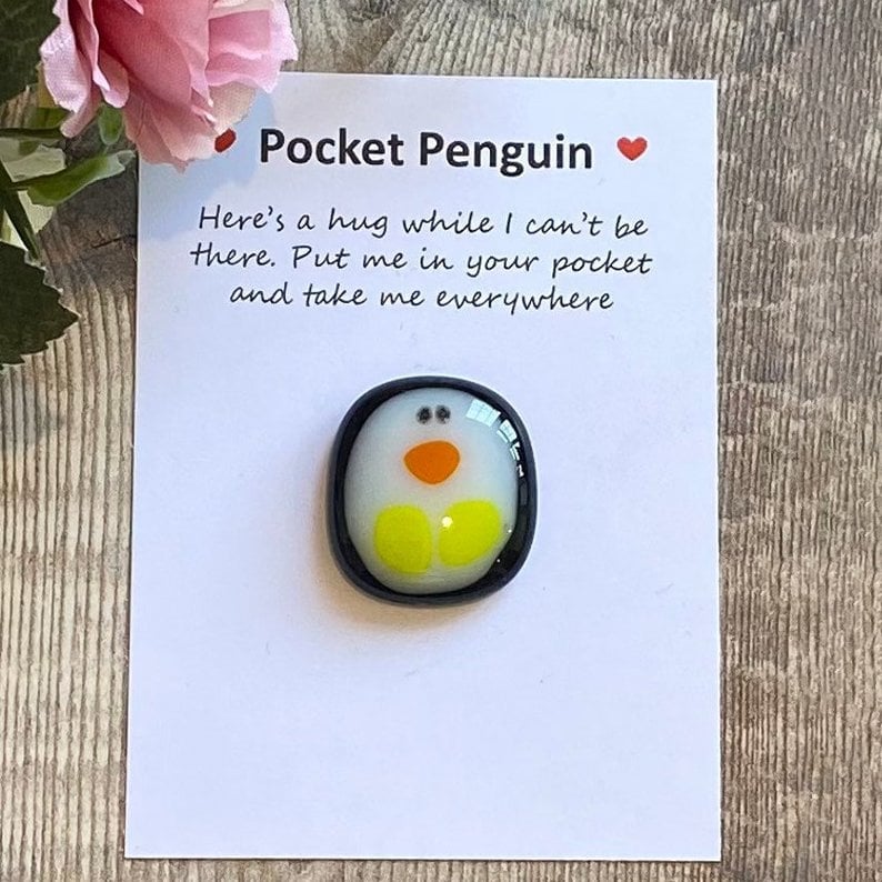 A Little Pocket Penguin Hug