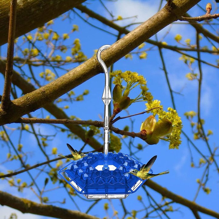 Mary's Hummingbird Feeder With Perch And Built-In Ant Moat