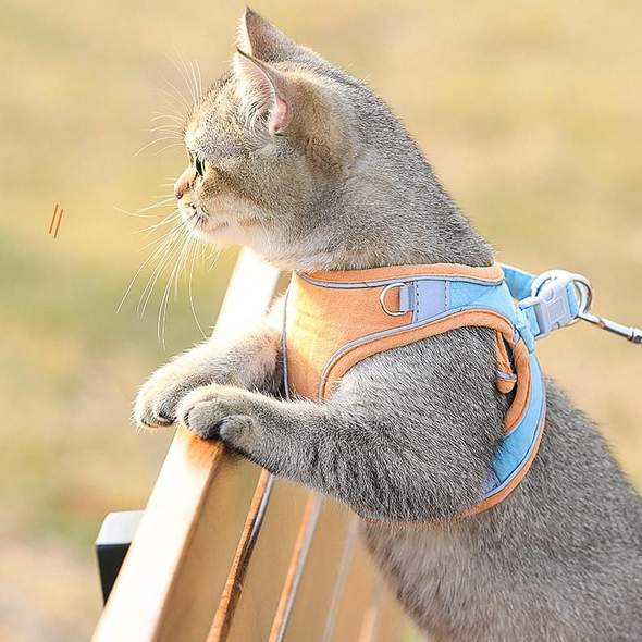 Escape-Proof Cat Harness And Leash For Walking