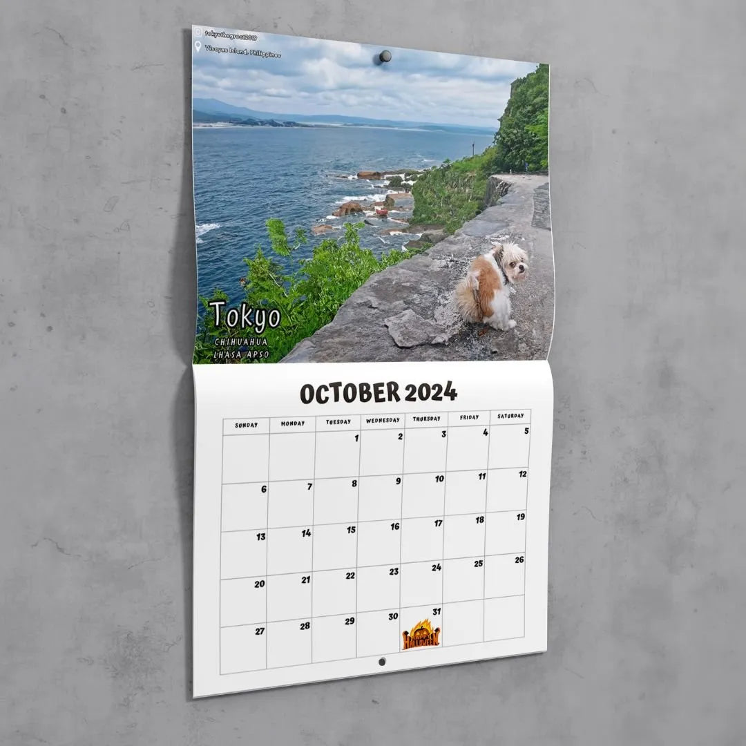 Funniest calendar of the century|\Artistic expression\" of furry friends"