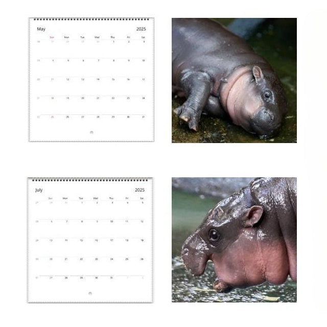 🦛Moo Deng Calendar | 2025 Calendar