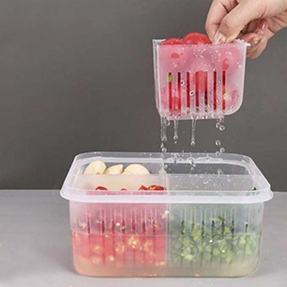 2023 Food storage box