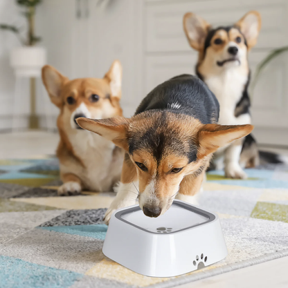 FantasticFurr Water Bowl