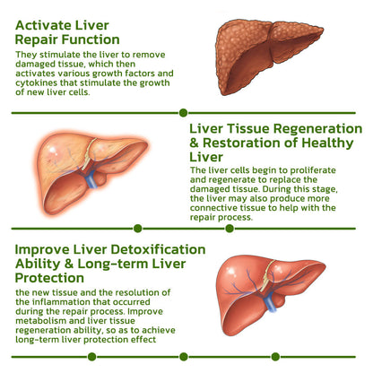 GFOUK Vegan Liver Cleaning Nasal Herbal Box