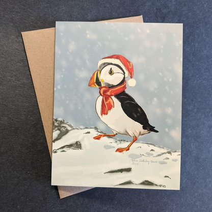 Animal Christmas Card Variety Pack