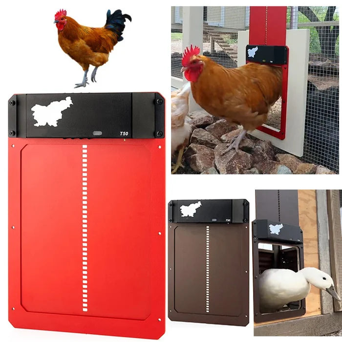 LAST DAY 49% OFF – Automatic Chicken Coop Door