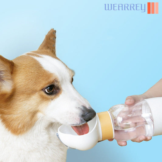 Portable Water Cup