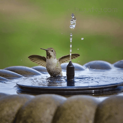 Solar-Powered Bird Fountain Kit-Last Day 75% OFF