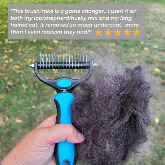 Dog Grooming Tools