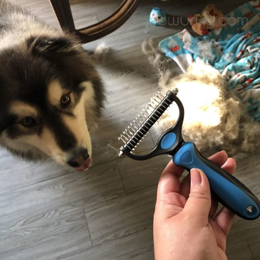 Dog Grooming Tools