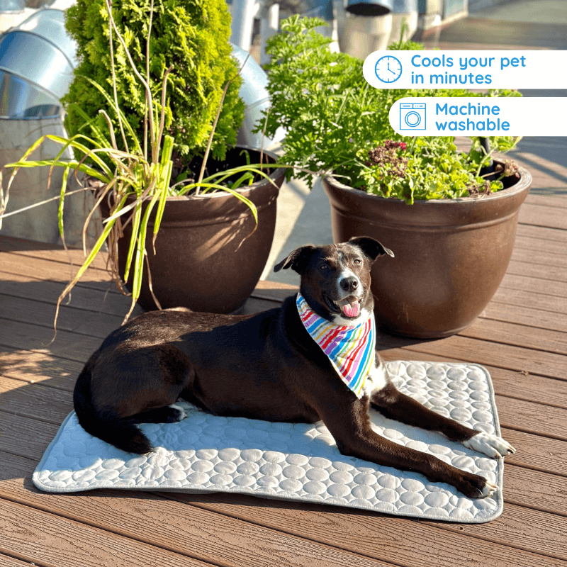 Ultimate Cooling Mat for Pets