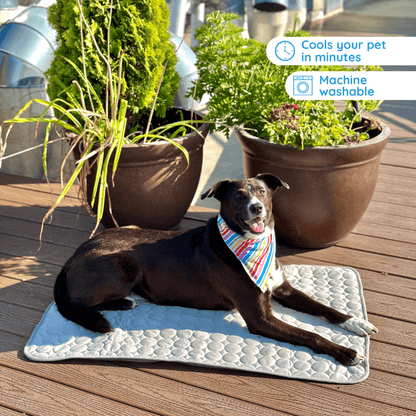 Ultimate Cooling Mat for Pets