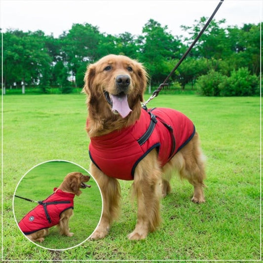 Waterproof Thermal Dog Jacket with Built-In Reflective Harness – Winter Warmth & Comfort