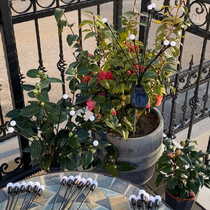 Wind Dance Solar Lights | Waterproof LED Garden Decoration 2025